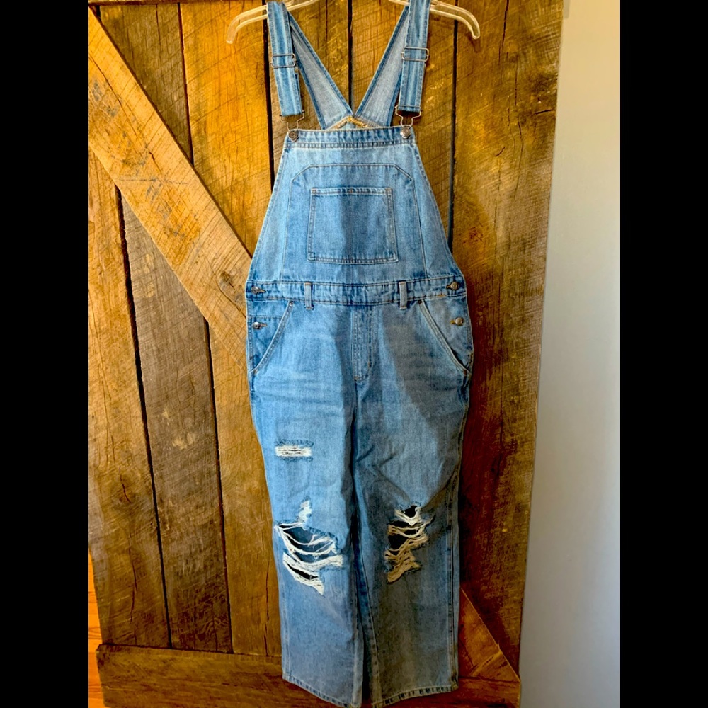 Wild Fable overalls